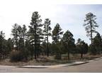 Show Low, This beautiful lot is centrally located for easy