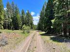 California Land for Sale 0.92 acres Forest land