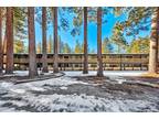 3546 Spruce Ave South Lake Tahoe, CA -