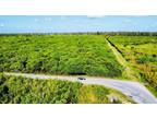 Plot For Sale In Homestead, Florida