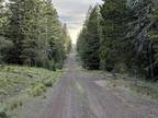 California Land for Rent, 0.92 Acres, near Alturas