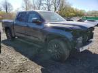 Salvage 2024 Toyota Tundra PLATINUM for Sale