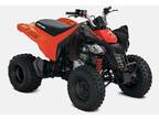 2024 Can-Am DS-250 ATV for Sale