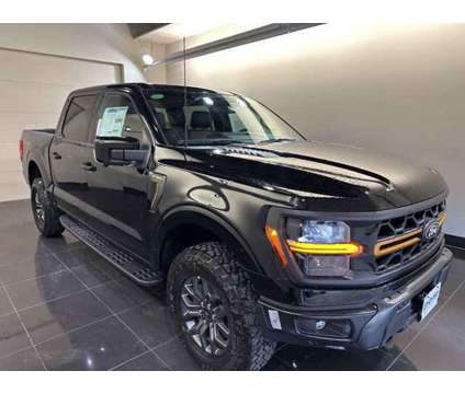 2024 Ford F-150 Tremor is a Black 2024 Ford F-150 Car for Sale in Madison WI