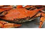 Business For Sale: Seafood Gourmet Market For Sale
