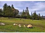 Home For Sale In Grass Valley, California