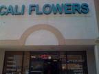 Business For Sale: Flowers Shop For Sale