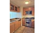 Condo For Sale In Boston, Massachusetts