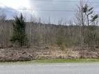 Plot For Sale In Lewis, New York