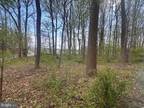 Plot For Sale In Stockton, New Jersey