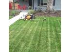 Business For Sale: Organic / Environmentally Friendly Lawn Care