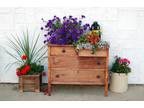 Business For Sale: Flowers & Furniture Shop