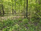 Plot For Sale In Linden, Tennessee