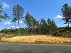 Plot For Sale In Williston, South Carolina