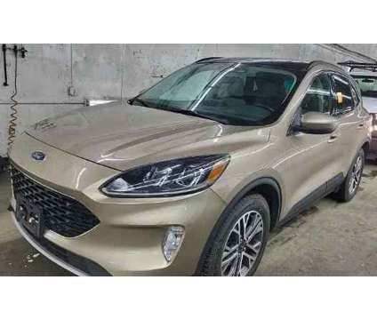 2021 Ford Escape SEL is a Gold 2021 Ford Escape SEL SUV in Dubuque IA