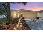 13721 Staghorn Rd, Tampa, FL 33626