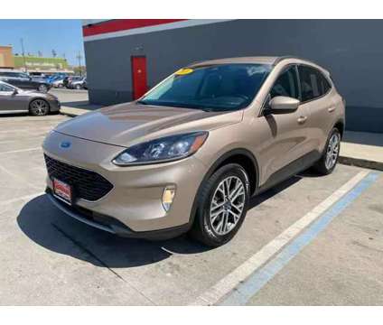 2021 Ford Escape for sale is a Gold 2021 Ford Escape Car for Sale in Paterson NJ