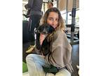 Maddi Pup: Elizabeth, Terrier (unknown Type, Medium) For Adoption In San Diego