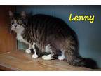 Lenny, Domestic Mediumhair For Adoption In Perry, Georgia