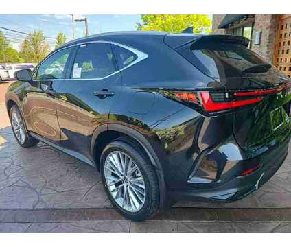 2025 Lexus NX NX 350 Luxury is a 2025 Car for Sale in Chester Springs PA