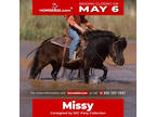 Missyâ 7 Yr old 36 Inches Black Mini Pony Mare! Exclusively available