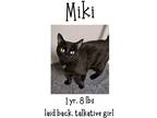 Adopt Miki a Domestic Shorthair / Mixed (short coat) cat in Albany