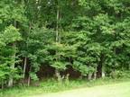 Plot For Sale In Roan Mountain, Tennessee