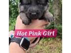 Hot Pink Girl