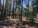 Pinetop, 0.41 Level and nicely treed lot in Country Club