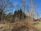 Plot For Sale In Silverwood, Michigan