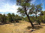 New Mexico Land for Sale, 1.4 Acres near Pinehill