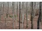 Plot For Sale In Graysville, Tennessee