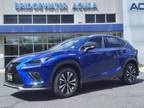 2021 Lexus NX 300 F SPORT