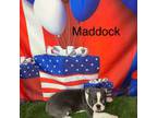 Maddock