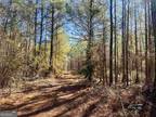 Plot For Sale In Leslie, Georgia