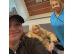 Compassionate Elder Care in North York, Ontario – Providing Quality Support