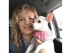 Trustworthy Pet Sitter in Santa Rosa Beach, FL - Offering Reliable Care at