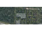 Plot For Sale In Altha, Florida
