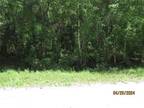 Plot For Sale In Bunnell, Florida