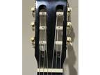 Stagg 6 String Acoustic Guitar Model C546