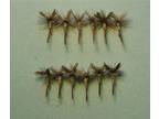 1 Dz MARCH BROWN dry flies size 12-14 MUST SEE trout fly fish LQQK