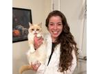 Veterinary student looking forward to hanging with your critters!