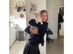 Experienced & Reliable Pet Sitter in Montreal, Quebec - $25/hr