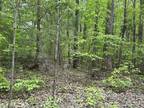 Plot For Sale In Chapmansboro, Tennessee