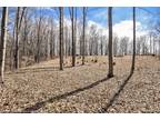 Plot For Sale In Tyrone Township, Michigan