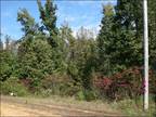 W. Tennessee Wooded Land 5 Acres