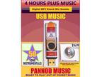 50 SONG INSTRUMENTALS on USB MEMORY STICK - New Style Music