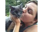 Experienced Pet Sitter in Prince Edward, Ontario - Amazing