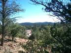 Payson, Gila County, AZ Homesites for sale Property ID: 412081948