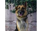 Adopt Stone a Shepherd